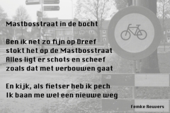 002-12-48-Mastbosstraat-20-11-2014-Femke-Reuvers