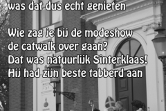 003-13-48-Sinterklaasintocht-27-11-2014-Femke-Reuvers