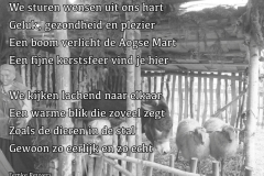 006-16-48-Kerststal-18-12-2014-Femke-Reuvers