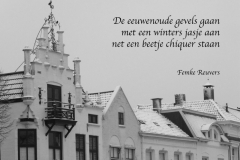 010-20-48-Gevels-met-sneeuw-29-01-2015-Femke-Reuvers