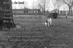 013-23-48-Brok-in-de-keel-26-02-2015-Femke-Reuvers