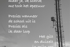 014-24-48-De-sirene-05-03-2015-Femke-Reuvers