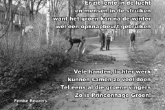 016-26-48-Princenhage-Groen-19-03-2015-Femke-Reuvers