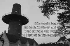 017-27-48-Korenmolen-de-Hoop-26-03-2015-Femke-Reuvers