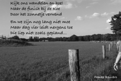 026-36-48-Vierdaagse-11-06-2015-Femke-Reuvers