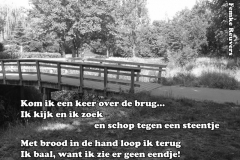 030-40-48-Eendje-09-07-2015-Femke-Reuvers