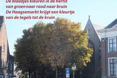 038-08-49-Herfst-05-11-2015-Femke-Reuvers