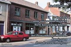 045-15-49-Liesbosstraat-07-01-2016-Femke-Reuvers