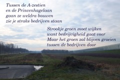 050-20-49-Rithmeesterpark-18-02-2016-Femke-Reuvers