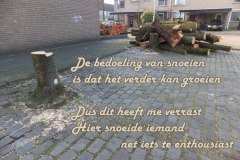 054-24-49-Snoeien-17-03-2016-Femke-Reuvers