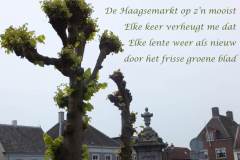 057-27-49-Haagsemarkt-in-de-lente-07-04-2016-Femke-Reuvers