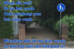 067-37-49-Voetpad-30-06-2016-Femke-Reuvers