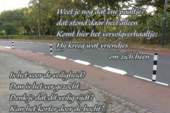 078-08-50-Paaltjes-in-de-bocht-20-10-2016-Femke-Reuvers