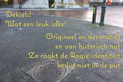 089-19-50-Putdeksels-26-01-2017-Femke-Reuvers