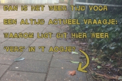 091-21-50-Hondenpoep-09-02-2017-Femke-Reuvers