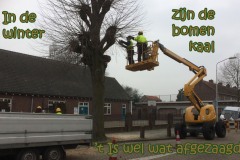 092-22-50-Bomen-kaal-16-02-2017-Femke-Reuvers