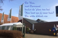 093-23-50-Carnaval-in-de-Koe-23-02-2017-Femke-Reuvers