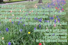 100-30-50-Honderdste-keer-22-04-2017-Femke-Reuvers