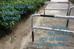 106-36-50-Hekjes-15-06-2017-Femke-Reuvers