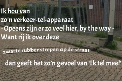 109-39-50-Verkeerteller-06-07-2017-Femke-Reuvers