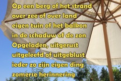111-01-51-Zomer-31-08-2017-Femke-Reuvers