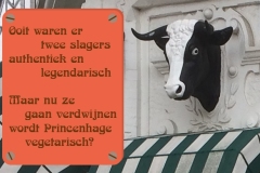120-10-51-Slagers-02-11-2017-Femke-Reuvers