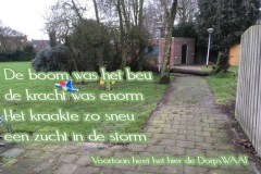 130-20-51-Dorpswaai-25-01-2018-Femke-Reuvers