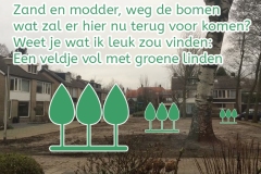 131-21-51-Linden-01-02-2018-Femke-Reuvers
