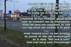 135-25-51-Woonboulevard-08-03-2018-Femke-Reuvers