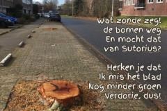 137-27-51-Bomenkap-22-03-2018-Femke-Reuvers