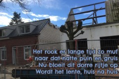 139-29-51-Huizen-Mastbosstraat-05-04-2018-Femke-Reuvers