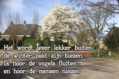 140-30-51-Bloesemboom-12-04-2018-Femke-Reuvers