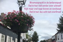 149-39-51-Bloem-28-06-2018-Femke-Reuvers