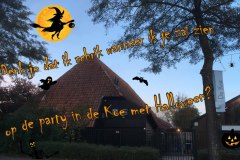 160-10-52-Halloween-party-01-11-2018-Femke-Reuvers