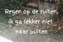 165-15-52-Regen-op-ruiten-06-12-2018-Femke-Reuvers