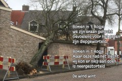 176-26-52-Boom-om-14-03-20219-Femke-Reuvers