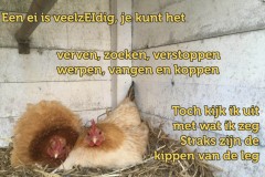 181-31-52-Eieren-18-04-2019-Femke-Reuvers