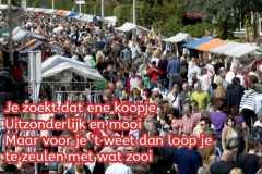 184-34-52-t-Aogje-Vrijmarkt-23-05-2019-Femke-Reuvers
