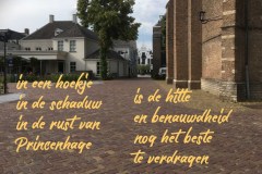 189-39-52-Hitte-27-06-2019-Femke-Reuvers