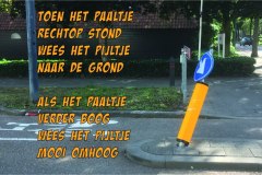 195-05-53-Paaltje-19-09-2019-Femke-Reuvers