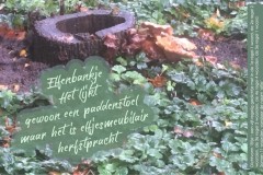 199-09-53-Herfst-in-t-Aogje-24-10-2019-Femke-Reuvers