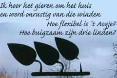 213-23-53-Storm-13-02-2020-Femke-Reuvers