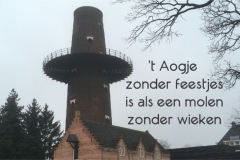 222-34-53-Aogje-zonder-feestjes-28-05-2020-Femke-Reuvers