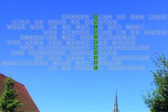Vers in 't Aogje