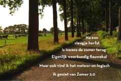 Vers in 't Aogje