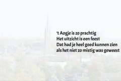Vers in 't Aogje