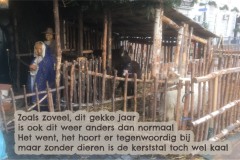243-15-54-Kerststal-zonder-dieren-10-12-2020-Femke-Reuvers