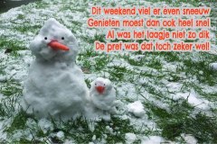 Vers in 't Aogje