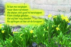 Vers in 't Aogje