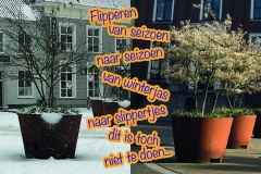 Vers in 't Aogje